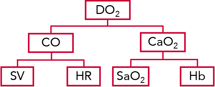 Graphique d'apport en oxygène